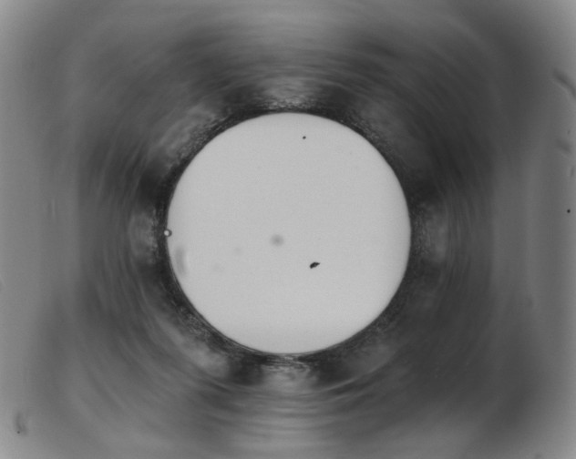 X0000103910215200809191310