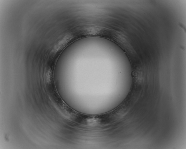 X0000103910216200809191310