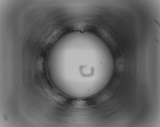 X0000103910217200809191310