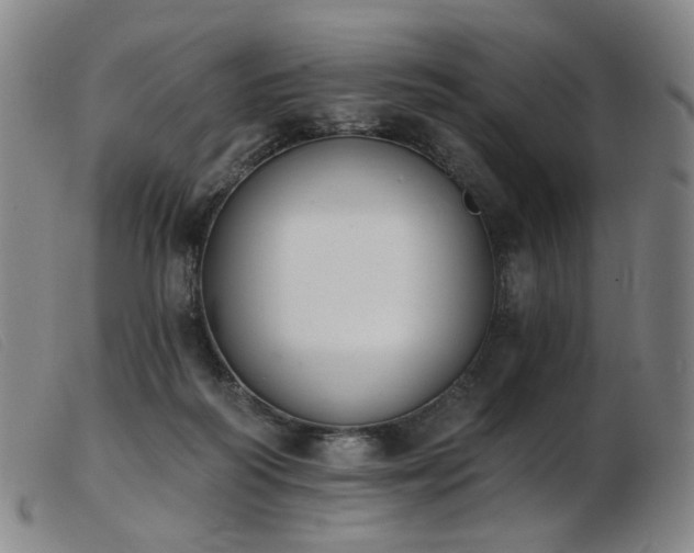 X0000103910218200809191310