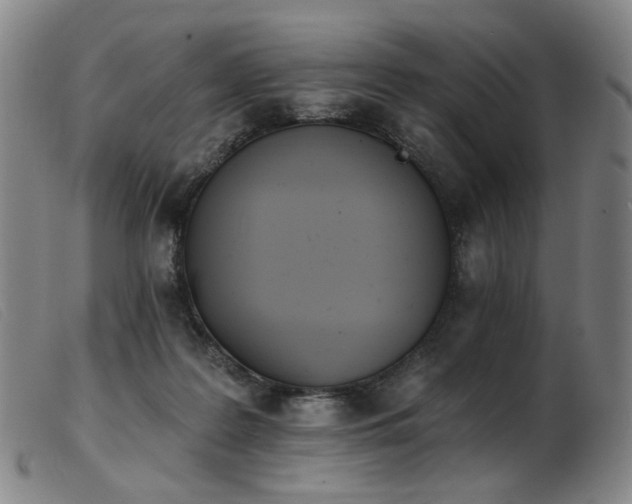 X0000103910219200809191310