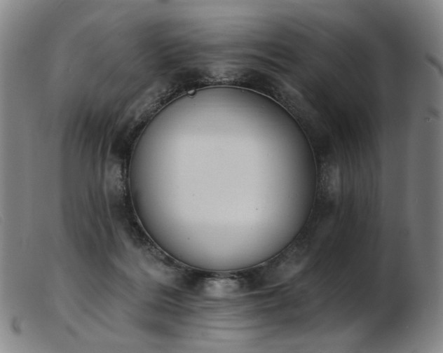 X0000103910220200809191310