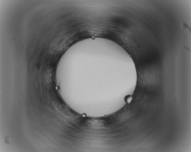 X0000103910221200809191310