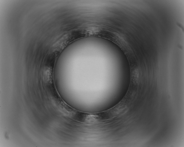 X0000103910222200809191310