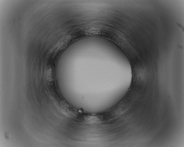X0000103910224200809191310