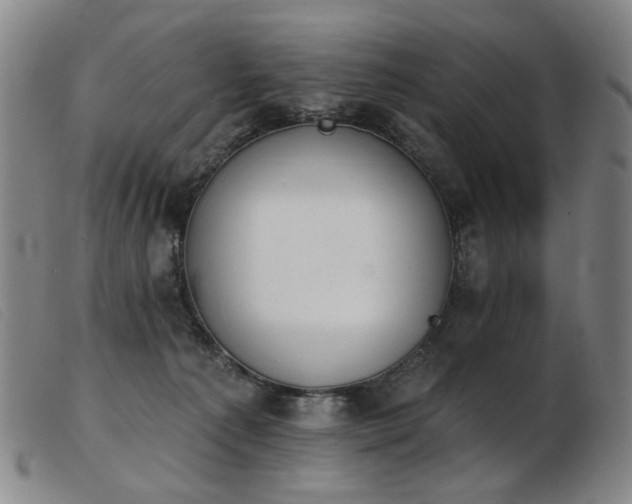 X0000103910225200809191310