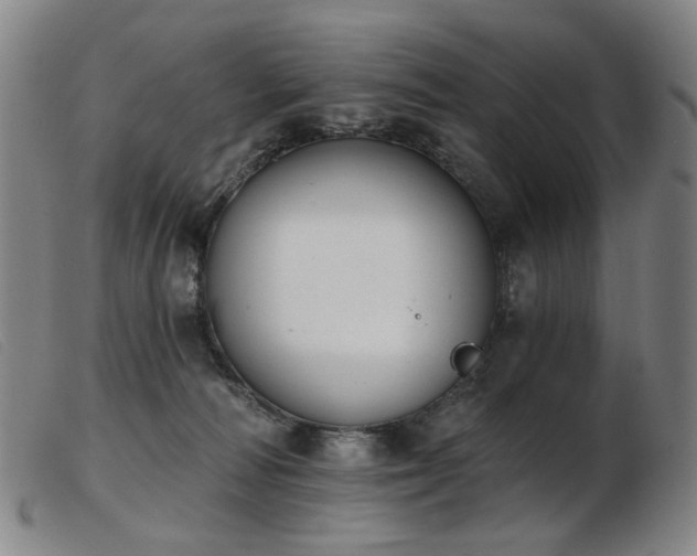 X0000103910226200809191309