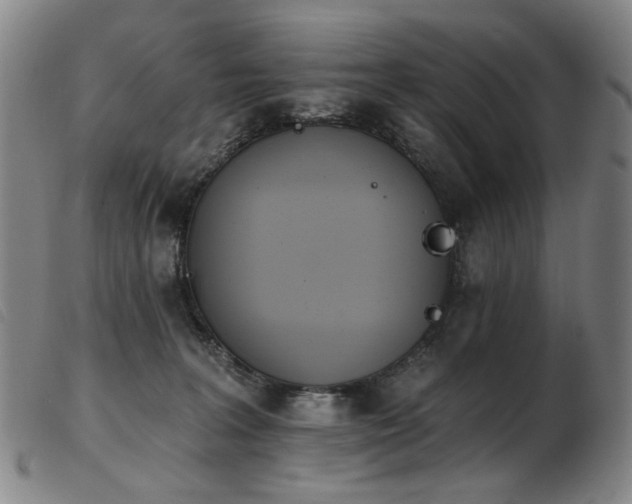 X0000103910227200809191309