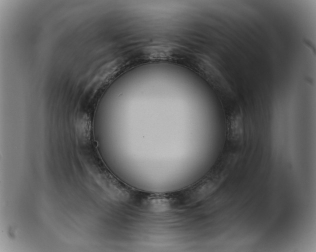 X0000103910228200809191309