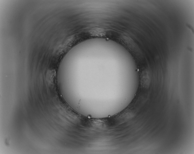 X0000103910229200809191309