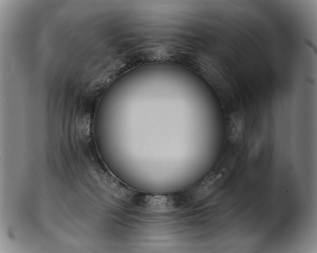 X0000103910230200809191309