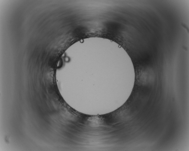X0000103910231200809191309