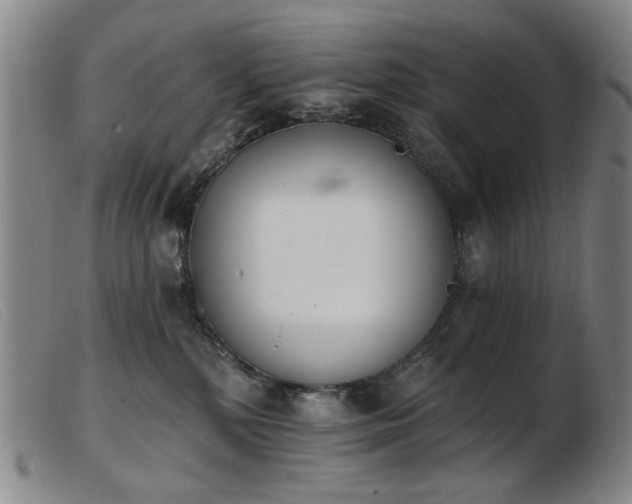 X0000103910232200809191309