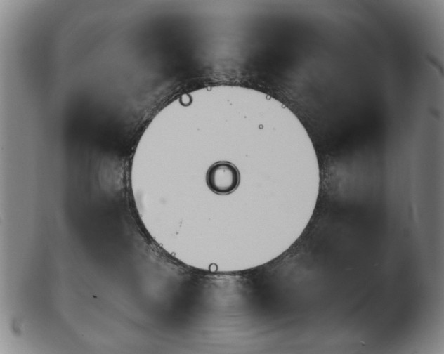 X0000103910233200809191309