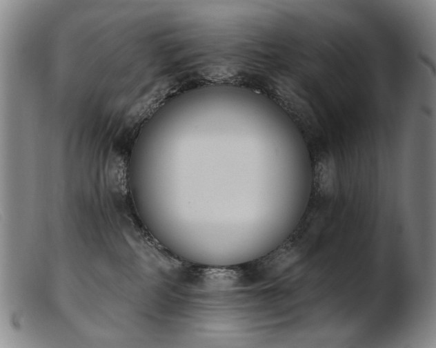 X0000103910234200809191309