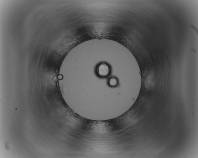 X0000103910235200809191309