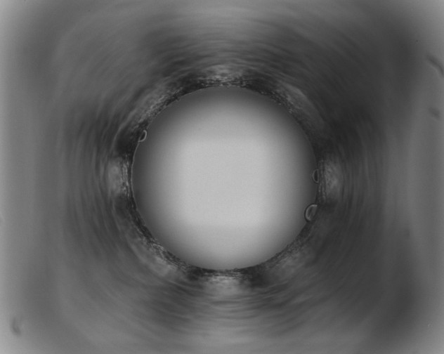 X0000103910236200809191309