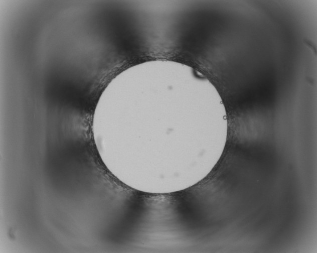 X0000103910237200809191309