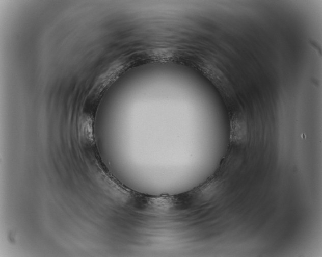 X0000103910238200809191309