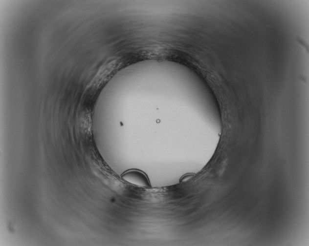 X0000103910240200809191309