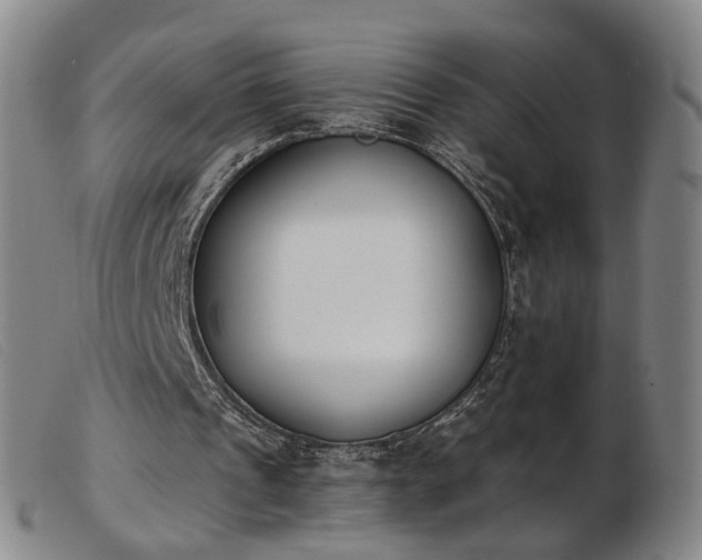 X0000103910241200809191308