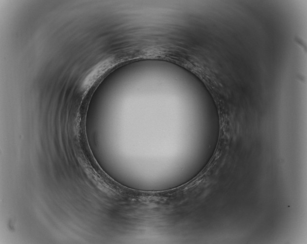 X0000103910242200809191308