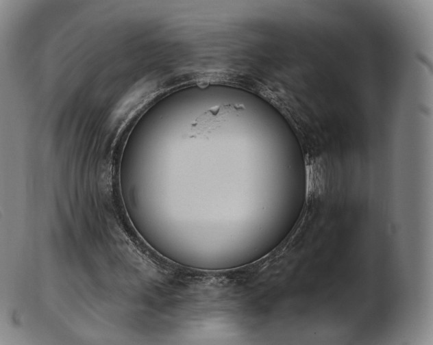 X0000103910243200809191309