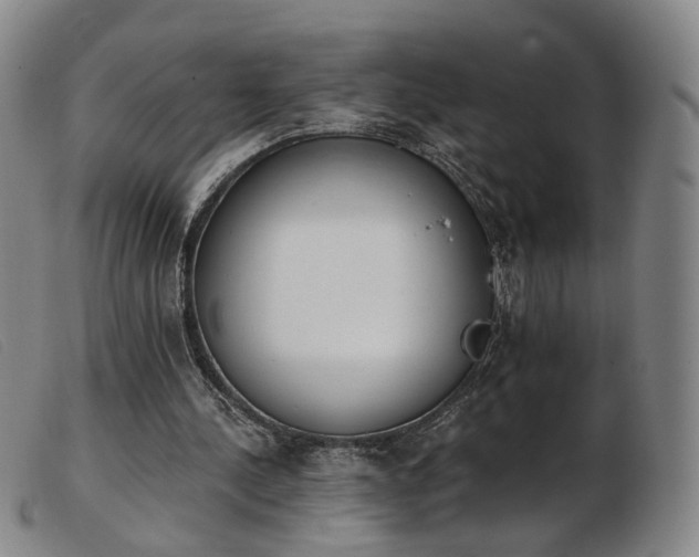 X0000103910244200809191309