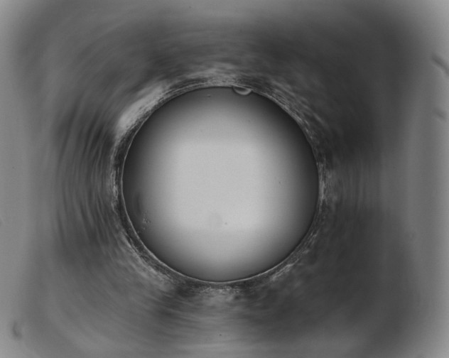 X0000103910245200809191309