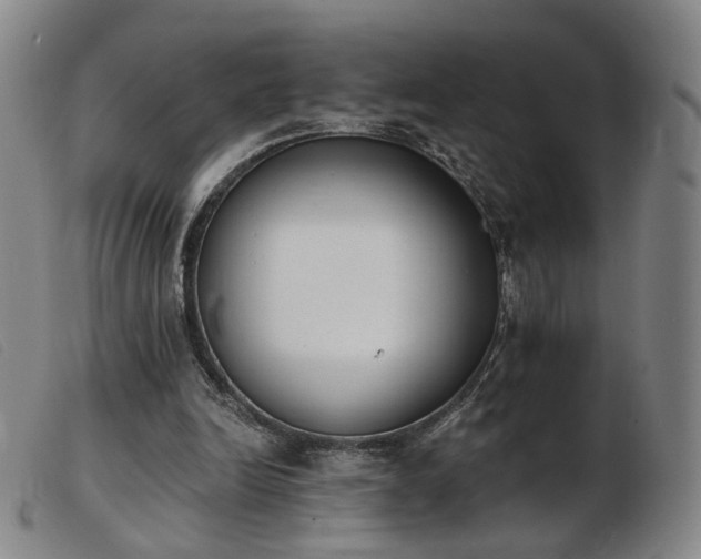 X0000103910246200809191309