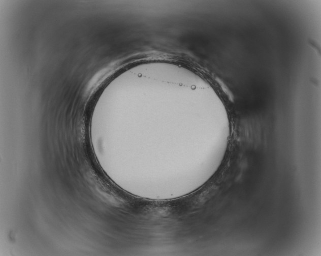 X0000103910247200809191309