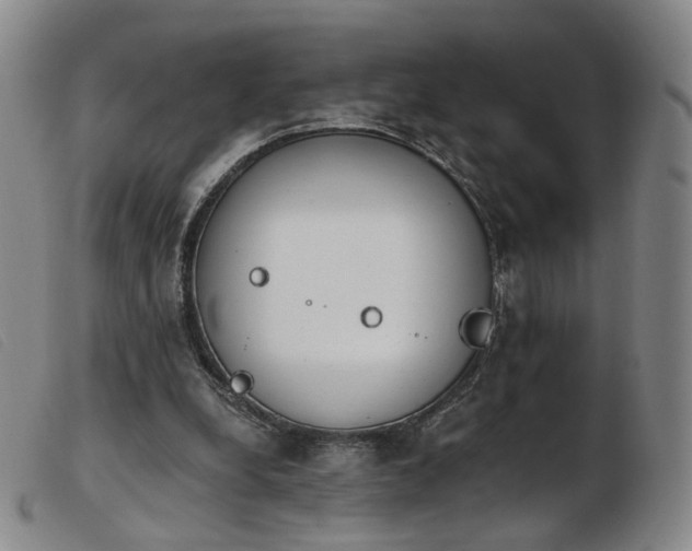 X0000103910248200809191309