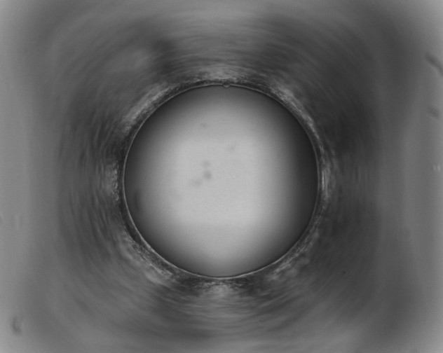 X0000103910249200809191309