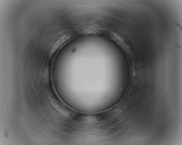 X0000103910250200809191309