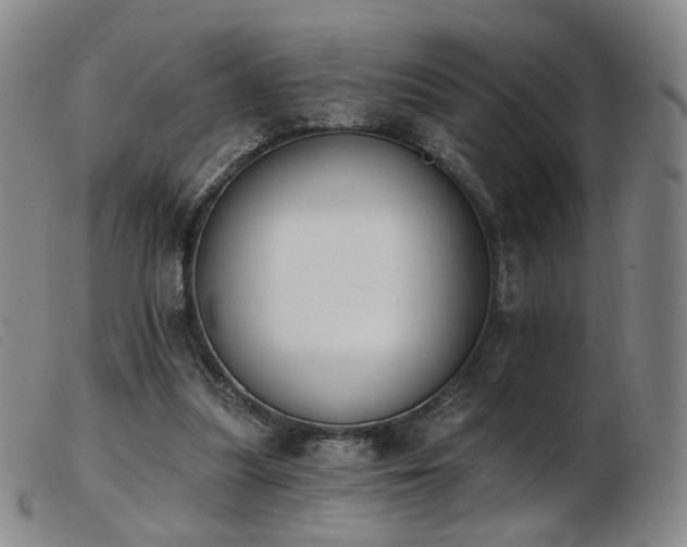 X0000103910251200809191309