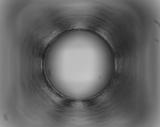 X0000103910253200809191309