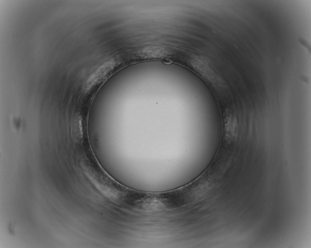 X0000103910254200809191309