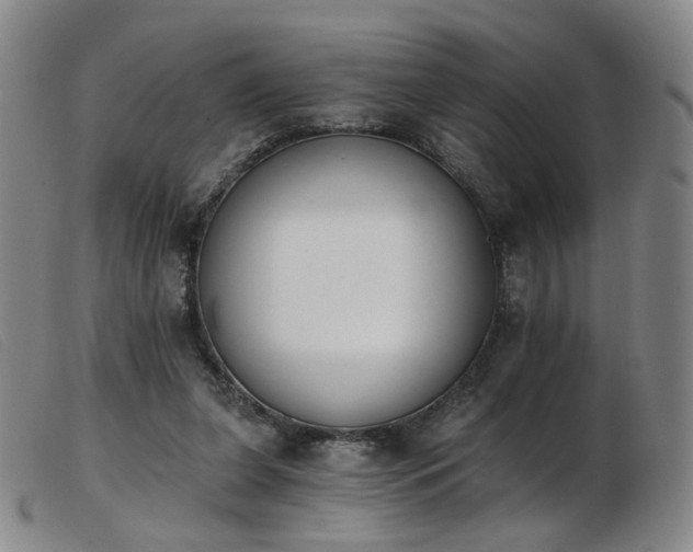 X0000103910255200809191309