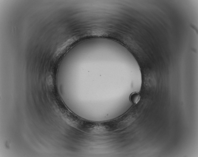 X0000103910256200809191309