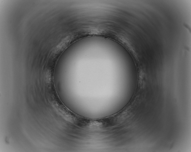X0000103910257200809191309