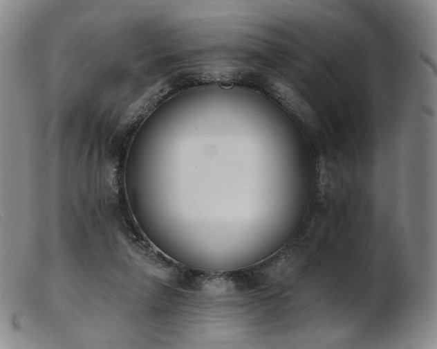 X0000103910258200809191309