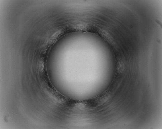 X0000103910259200809191309