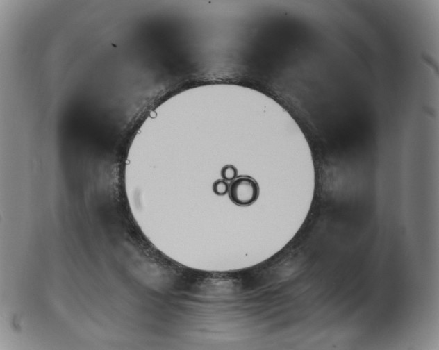 X0000103910260200809191309