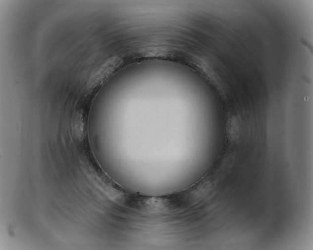 X0000103910261200809191309
