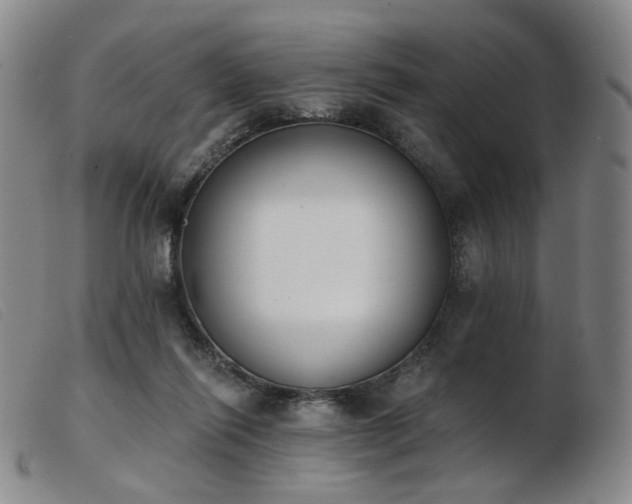 X0000103910262200809191309