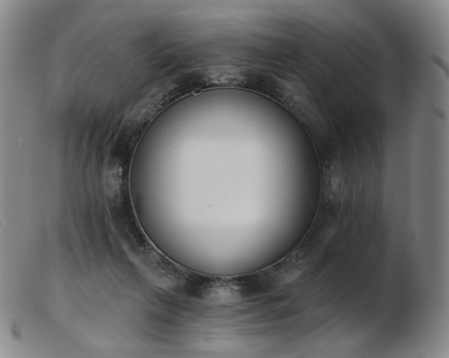 X0000103910263200809191309