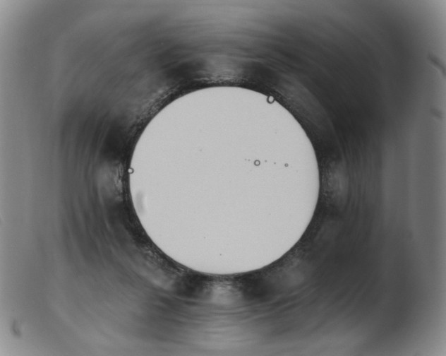 X0000103910264200809191309