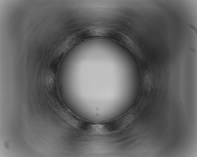 X0000103910265200809191309
