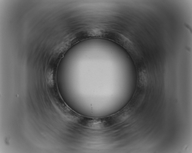 X0000103910267200809191309