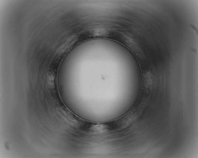 X0000103910269200809191309